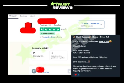 Trustpilot profile of a jewelry store at 4.9 stars from 413 reviews, with a note on its score going from 4.5 to 4.9